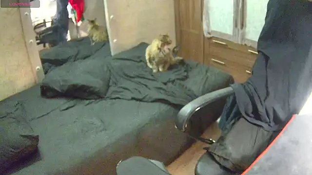 Julia dolls online show from December 14, 2024, 7:03 pm