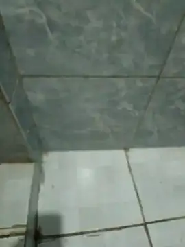 Pretordr online show from March 12, 2025, 10:28 pm