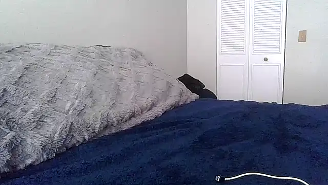 tendertormentt online show from February 24, 2026, 5:00 pm