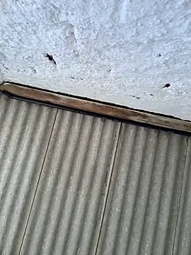 Snapshot of alexjs84 chatting on November 22, 2025, 3:44 pm alexjs84 online show from November 22, 2025, 3:44 pm