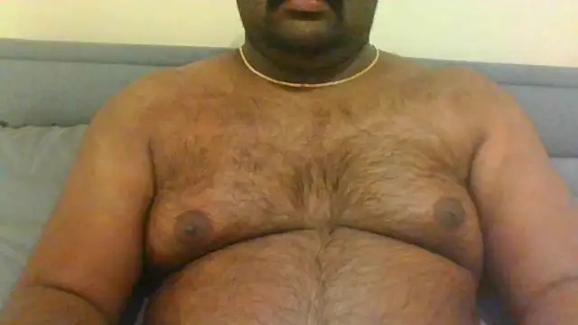 indianbearbot online show from January 9, 2025, 11:56 pm