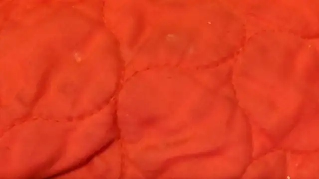 Snapshot of Huntzg23 chatting on November 28, 2025, 7:44 am Huntzg23 online show from November 28, 2025, 7:44 am