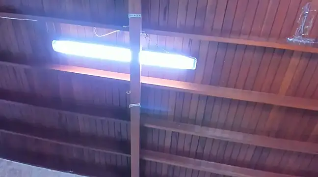 jeicob gagnon online show from March 13, 2025, 6:34 pm