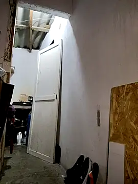 gatoalex89 online show from February 19, 2025, 3:06 am