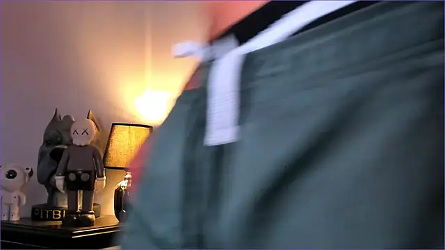 Snapshot of BradLeon_ chatting on November 23, 2025, 9:36 pm BradLeon online show from November 23, 2025, 9:36 pm