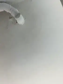 Snapshot of ekskekejejej chatting on September 28, 2025, 2:55 pm ekskekejejej online show from September 28, 2025, 2:55 pm