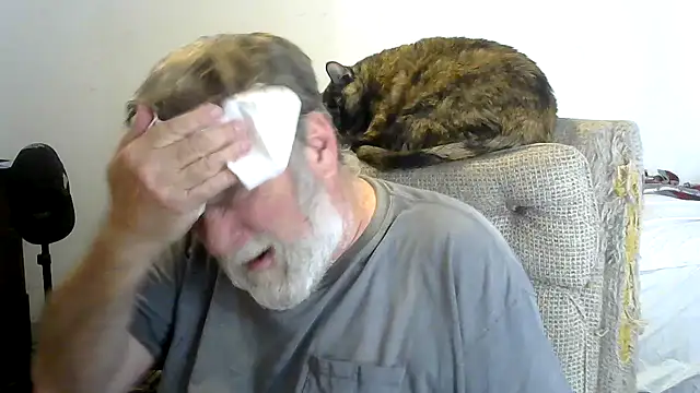 viejo oso online show from January 31, 2026, 11:14 pm