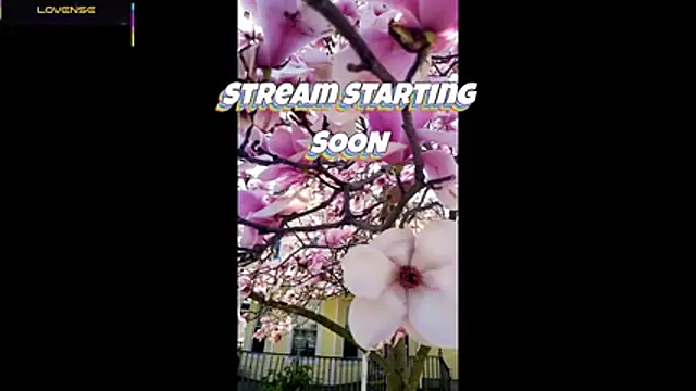 Hackensackneil online show from May 18, 2026, 1:28 pm
