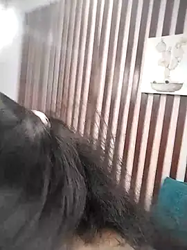 KRYSSTARITTER4 online show from March 22, 2025, 2:03 pm