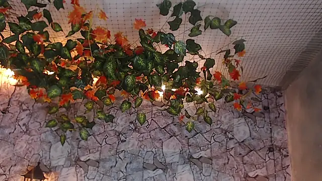 Snapshot of Lancelot_Benwick chatting on January 7, 2025, 1:38 am Lancelot Benwick online show from January 7, 2025, 1:38 am