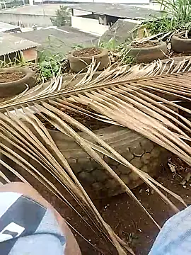 safado0027 online show from October 15, 2025, 6:41 pm