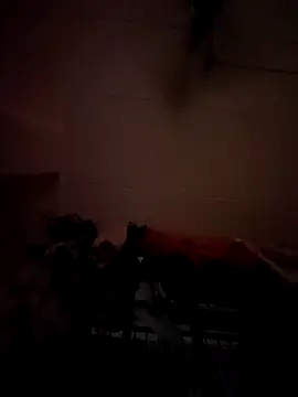 Snapshot of opkiller901 chatting on January 12, 2025, 10:01 pm opkiller901 online show from January 12, 2025, 10:01 pm