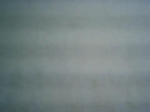 michel1520 online show from March 19, 2026, 10:47 pm