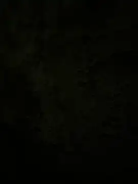 Lilymoonshow online show from February 17, 2025, 2:31 am