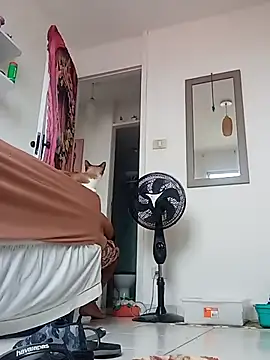 Munnoki online show from April 2, 2026, 9:29 am