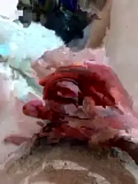 pussyhoneyhot online show from February 19, 2026, 9:00 pm