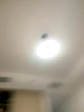 SexySophiaax online show from October 20, 2025, 1:00 pm