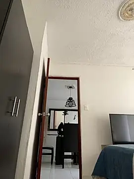 Snapshot of Diegosavage3 chatting on February 7, 2025, 8:53 pm Diegosavage3 online show from February 7, 2025, 8:53 pm