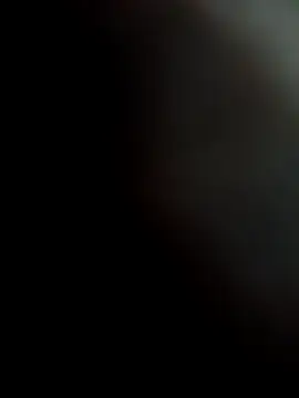 Royyy dandol online show from November 6, 2025, 2:29 pm