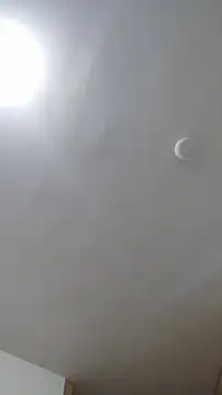 Snapshot of ruby__00 chatting on March 8, 2025, 3:28 am ruby 00 online show from March 8, 2025, 3:28 am