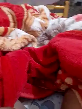 mhmia online show from February 6, 2025, 1:16 am