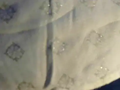 Cutie Pie1p online show from March 19, 2025, 8:34 am