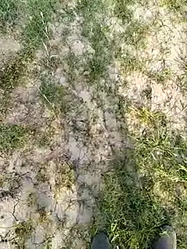 xmanrawan2 online show from March 14, 2025, 11:34 am