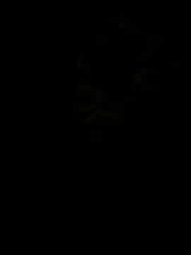 jhonnes  online show from January 11, 2026, 3:33 am