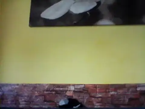 sexy lady2 online show from February 17, 2025, 10:07 am