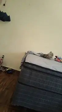 Snapshot of JapeDoBryan chatting on May 16, 2026, 6:28 pm JapeDoBryan online show from May 16, 2026, 6:28 pm