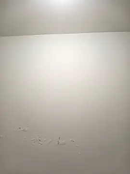 Sophia Dupontx online show from November 28, 2025, 6:32 pm