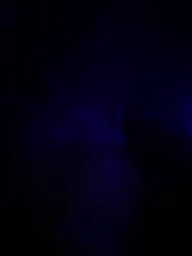 buckincowboy online show from February 13, 2025, 4:43 am