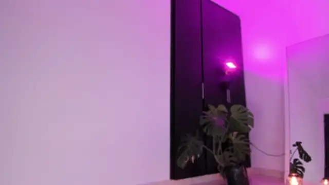 ggor4w33 online show from February 21, 2026, 2:56 am