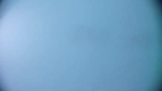 Ashlyaurora online show from March 19, 2025, 7:40 am