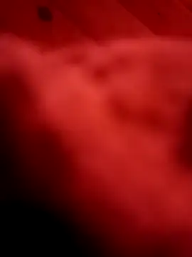 Arabian online show from February 11, 2025, 6:01 pm