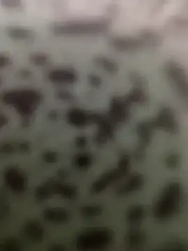 Yashkumar 0697 online show from October 13, 2025, 8:42 pm