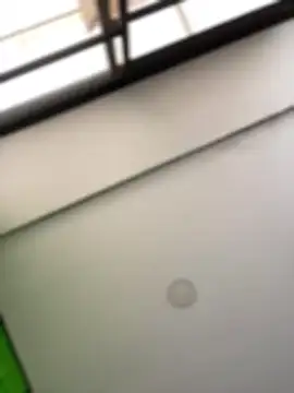 Dulce  Boyd online show from March 4, 2026, 2:01 pm