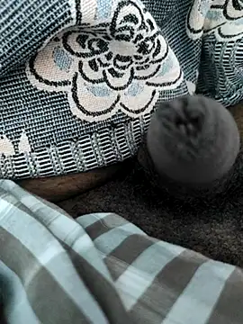 Tamil small cock online show from February 26, 2025, 10:04 am