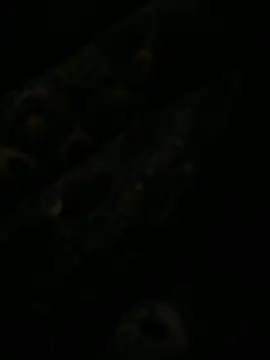 leonard  123 online show from February 6, 2025, 10:10 pm