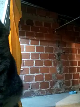 Snapshot of PECHO100 chatting on March 3, 2025, 3:08 am PECHO100 online show from March 3, 2025, 3:08 am