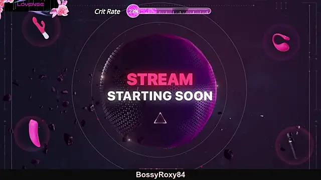 bossyroxy84 online show from February 28, 2025, 2:31 am