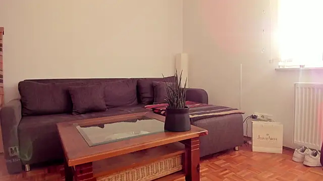 molicaremolicare online show from November 6, 2025, 7:31 am