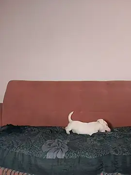 Snapshot of Jehan_Soto chatting on September 9, 2025, 5:12 pm Jehan Soto online show from September 9, 2025, 5:12 pm