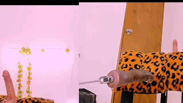 Karol Rossee online show from February 26, 2025, 10:31 pm