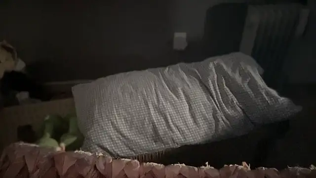 DominantDong online show from March 9, 2025, 11:56 pm