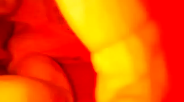 Snapshot of JCstrings chatting on February 21, 2025, 7:43 pm JCstrings online show from February 21, 2025, 7:43 pm