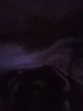 Snapshot of lilpip chatting on July 5, 2026, 10:50 pm lilpip online show from July 5, 2026, 10:50 pm