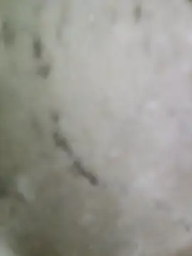 pussyfatasss online show from September 27, 2025, 5:23 am