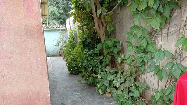 twinks 28 online show from January 17, 2026, 8:45 pm