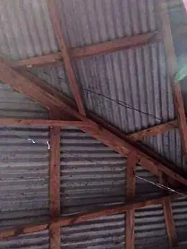 Ladyzee25 online show from November 26, 2025, 9:05 pm